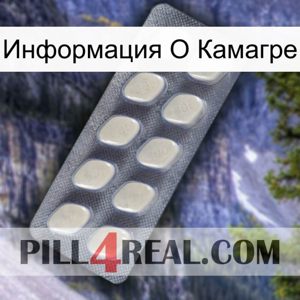 Информация О Камагре 08.jpg